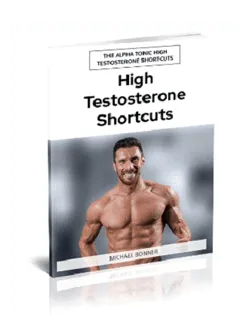 High Testosterone Shortcuts